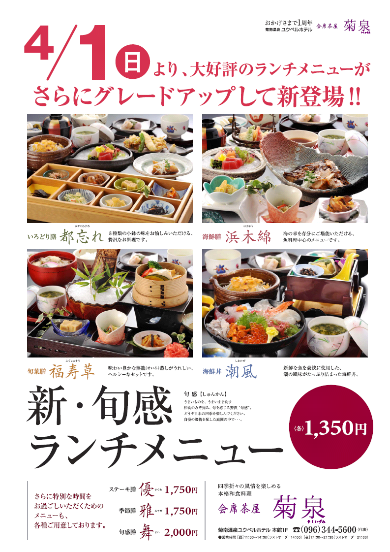 菊泉ランチ新登場!!!